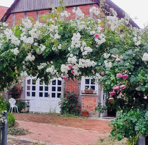 Ferienhaus Zur Sonne Wölpinghausen allemagne
