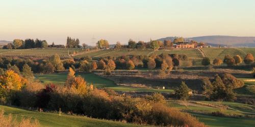 Villas Ferienhäuser Immenhöfe 4 Immenhöfe Donaueschingen