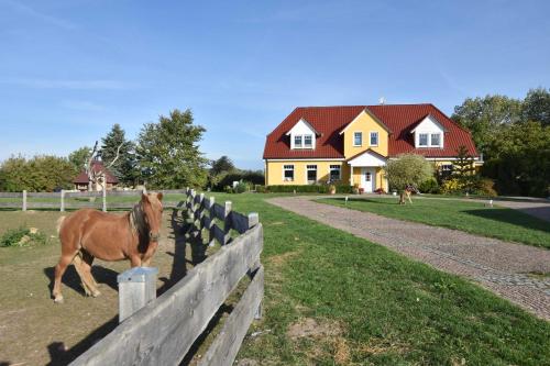 Ferienhof am Leuchtturm mit Meerbl Kägsdorf allemagne