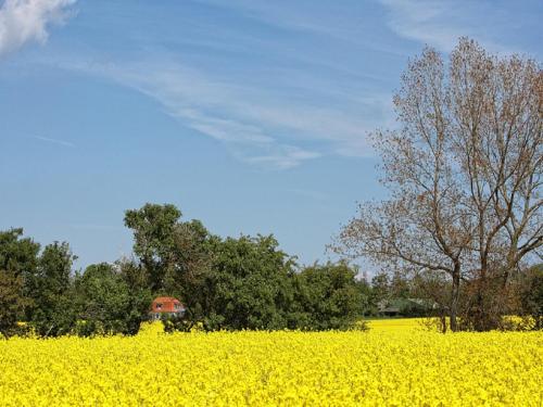 Ferienhof Augustenhöhe Fehmarn allemagne