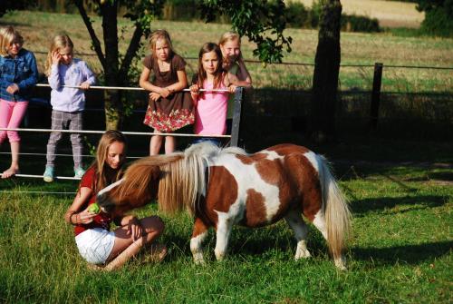 Ferienhof Blunck Wangels allemagne