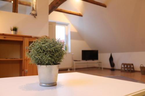 Appartements Ferienhof Drei Linden Bornumer Hauptstraße Börßum