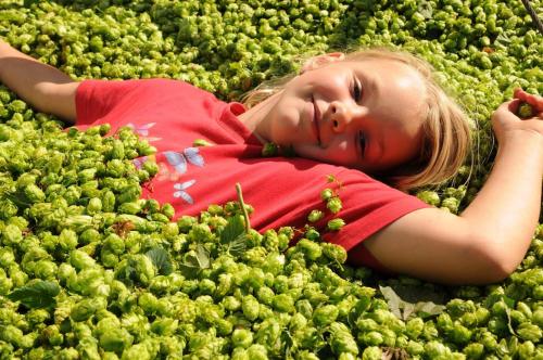 Séjour à la ferme Ferienhof Hopfgärtle Müller Allisreute 3 Bodnegg