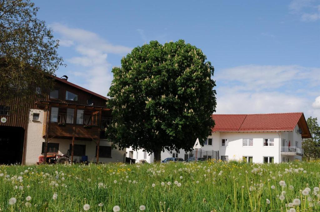 Séjour à la ferme Ferienhof Hopfgärtle Müller Allisreute 3, 88285 Bodnegg