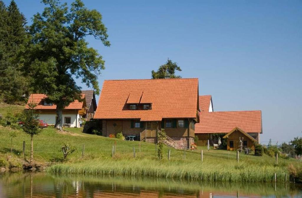 Appartements Ferienhof Kienbronnerhof Kienbronn 166, 77761 Schiltach