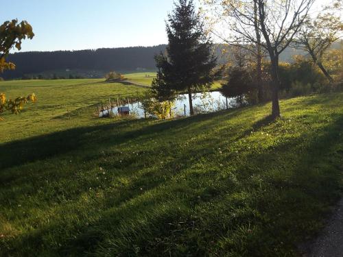 Ferienhof Kienbronnerhof Schiltach allemagne