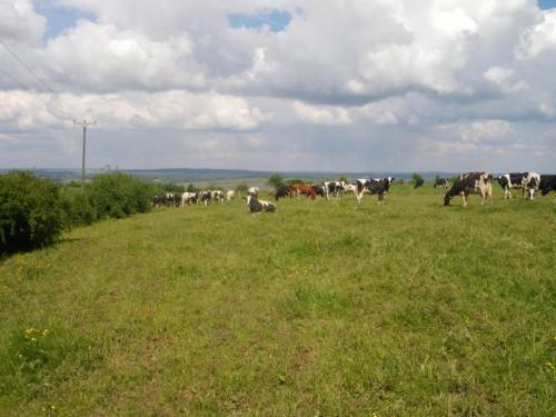 Ferienhof Lahr Wincheringen allemagne