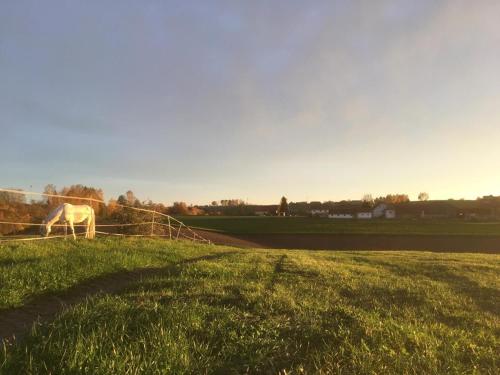 Ferienhof Löw Salzweg allemagne