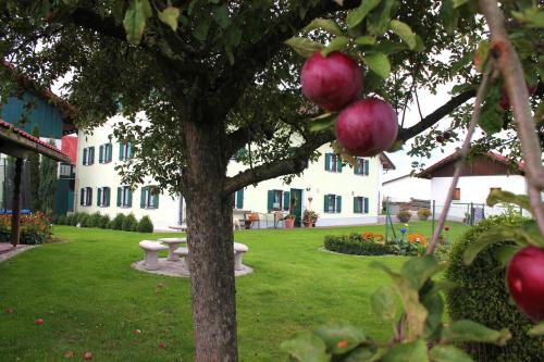 Appartements Ferienhof Obermaier Weinberg 1 Bad Birnbach