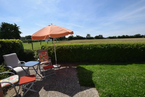 Ferienhof Specht - Ferienhaus Sommerhaus Dahme allemagne