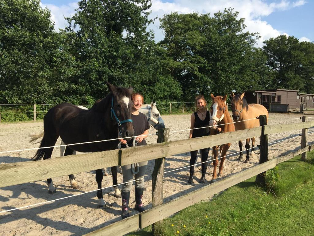 Séjour à la campagne Ferienhof Welsch Ulbarger Straße 17 Ferienhof Welsch, 26629 Timmel