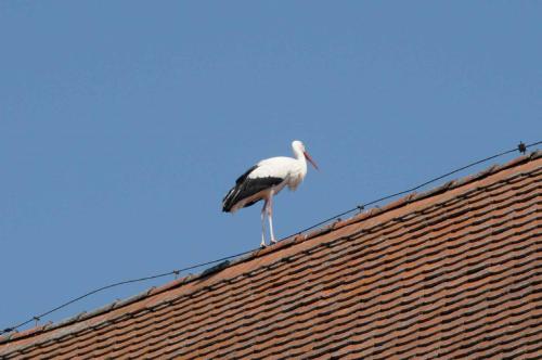 Ferienhof Winkler Merkendorf allemagne