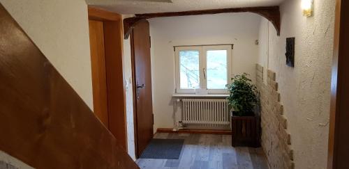 Appartement Ferienhof Ziegler - Studio Fingerhut 9 Hinterer Hirschauerwald Baiersbronn