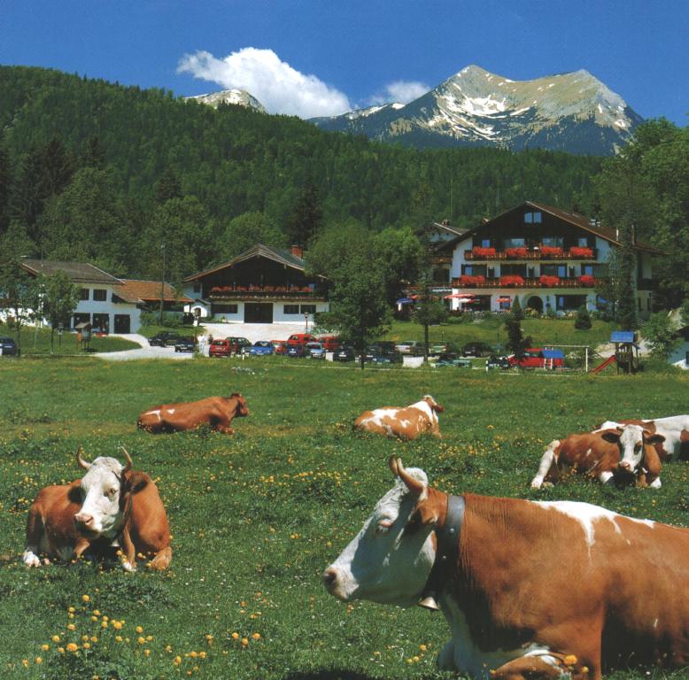 Hôtel Ferienhotel Barmsee Am Barmsee 9, 82494 Krün