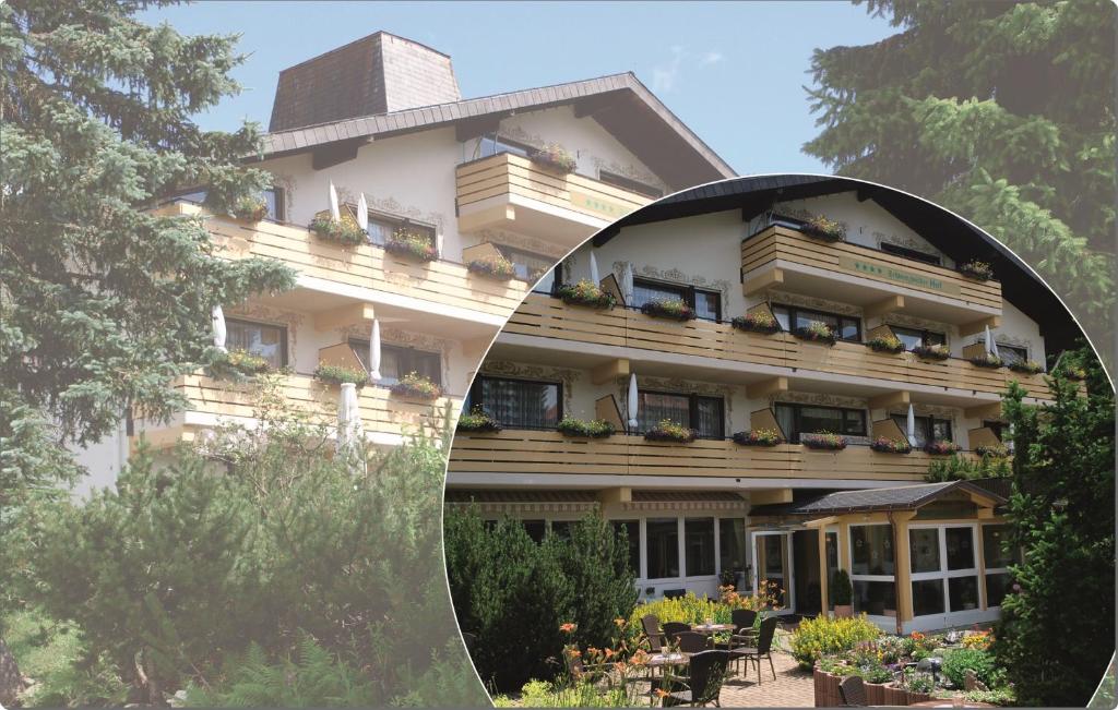 Hôtel Ferienhotel Schwarzwälder Hof Windgfällstr. 4, 79868 Feldberg