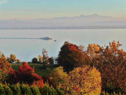 Appartements FerienResidenz über'm See Frenkenbacher Straße 4a Hagnau am Bodensee