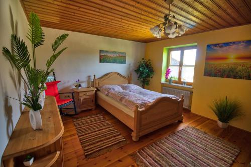 Feriensuite-auf-dem-Bauernhof-fuer-2-3-Personen-im-Herzen-Niederbayerns Mamming allemagne