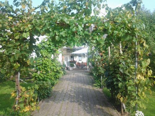 Séjour chez l'habitant Ferienweingut Arnold Thiesen Schulstr. 16 Bruttig-Fankel