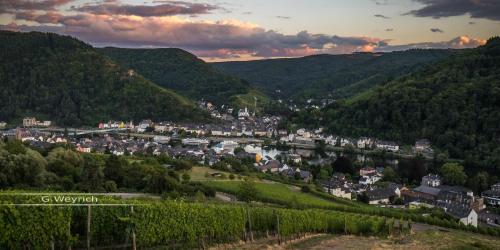 Ferienweingut Göbel Traben-Trarbach allemagne