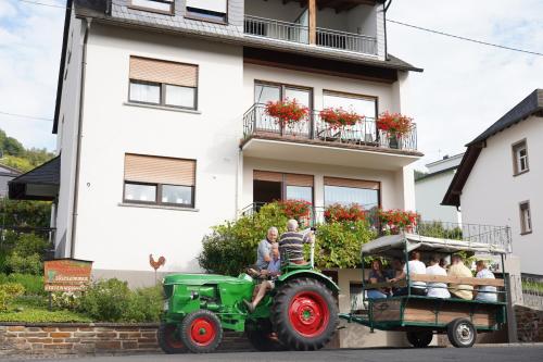 B&B / Chambre d'hôtes Ferienweingut Hirschen Schulstraße Schulstraße 9 Burg an der Mosel