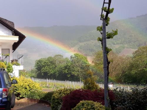 Maison d'hôtes Ferienweingut-Liebfried Moselstrasse 12 Nehren