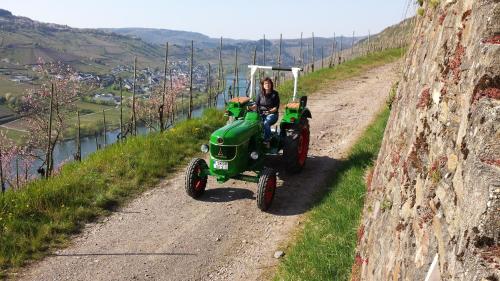 Ferienweingut Rainer Hirschen Burg an der Mosel allemagne