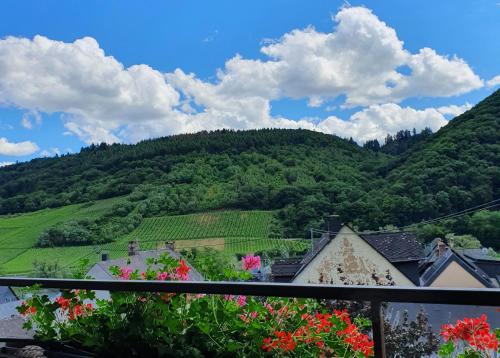 B&B / Chambre d'hôtes Ferienweingut Stein Bergstraße 1 Valwig
