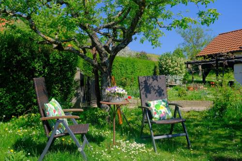 Appartement Ferienweingut Wissing Wohnung Theo 53 Winzergasse Gleiszellen-Gleishorbach
