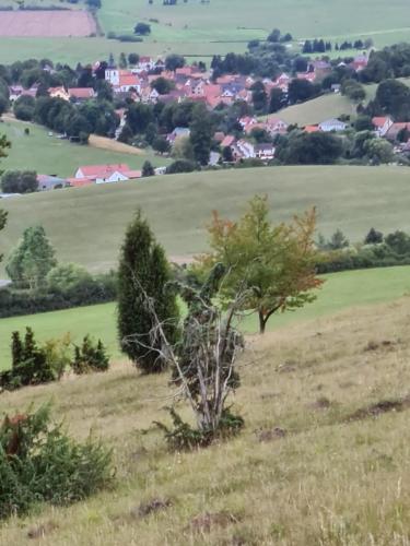 Ferienwohnung \ Wiesenthal allemagne