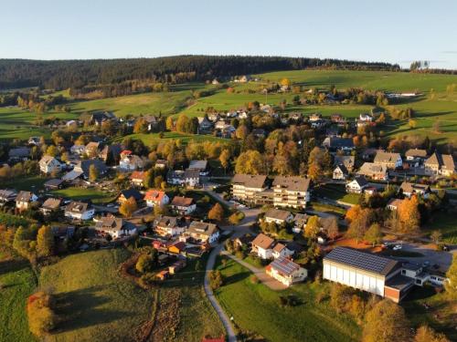 Ferienwohnung 11 Haus Feldbergblick Lenzkirch allemagne