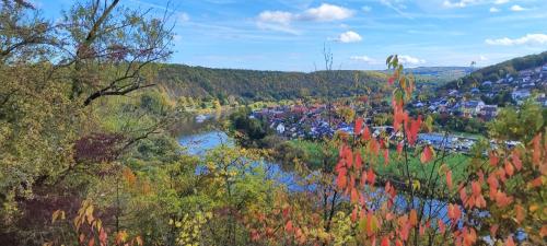 Ferienwohnung 29 Kreuzwertheim allemagne