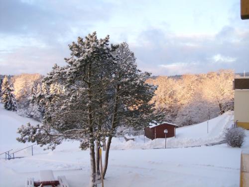 Appartement Ferienwohnung \ Am Kurpark 3 Panoramic Braunlage