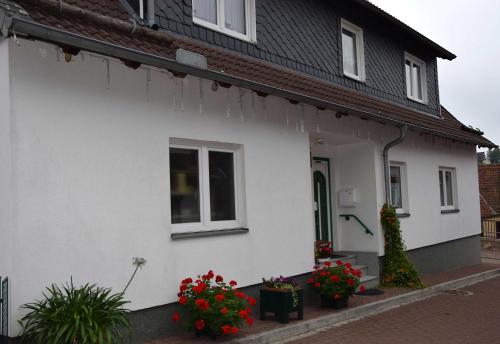 Appartement Ferienwohnung \ Klippe 1 Benneckenstein