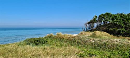 Ferienwohnung \ Zingst allemagne