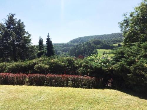 Appartement Ferienwohnung (70 qm) mit fantastischem Ausblick 10 Geierweg Detmold