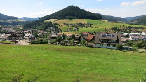 Appartement Ferienwohnung Aida 77 Uhlandweg Baiersbronn