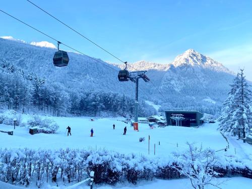 Appartement Ferienwohnung Alpenblume Königssee 38 Jennerbahnstraße Schönau am Königssee