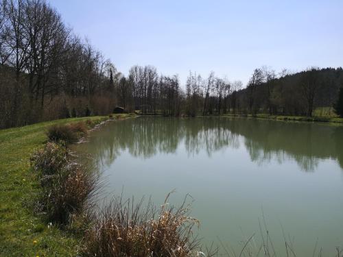 Ferienwohnung Alte Linde Hardheim allemagne