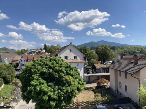 Ferienwohnung Alte Münz Müllheim allemagne