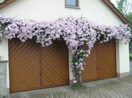 Ferienwohnung Am Alten Berg Ochsenfurt allemagne