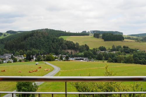 Appartement Ferienwohnung am Denkmal 9 In der Müsse Bad Berleburg