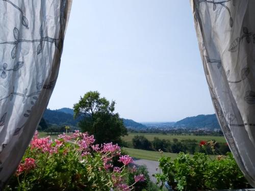 Appartement Ferienwohnung Am Eichbühl 6 Eichbühlweg Waldkirch