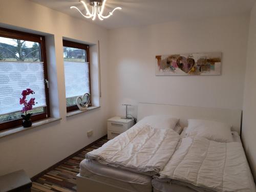 Appartement Ferienwohnung Am Hang 12 Liemeckeweg Winterberg