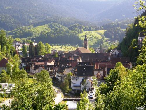 Ferienwohnung am Hauskopf Oppenau allemagne