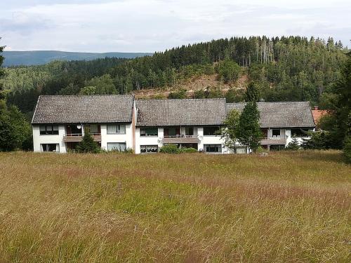 Ferienwohnung am Kunstberg 29 Altenau allemagne