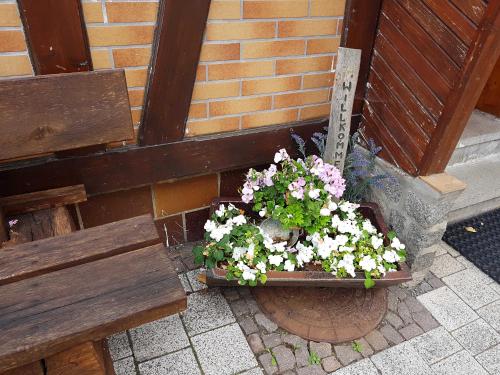 Ferienwohnung am Kurpark Hasselfelde allemagne