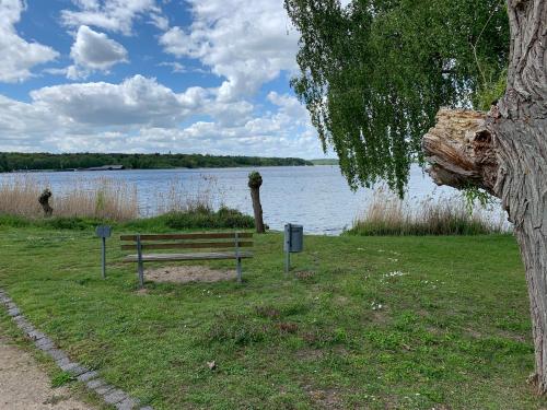 Appartements Ferienwohnung Am Müritz Seeufer Am Seeufer 17 Waren