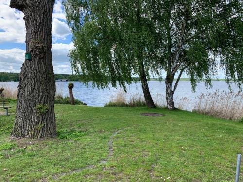 Ferienwohnung Am Müritz Seeufer Waren allemagne