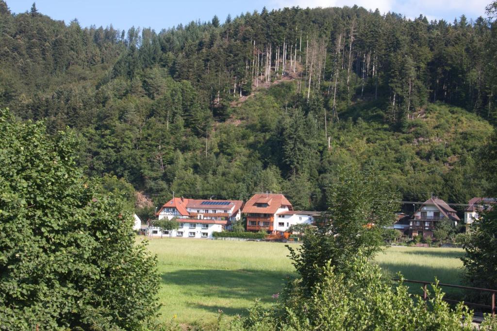 Appartement Ferienwohnung am Rain Obere Rainstrasse 4a, 79297 Winden im Elztal