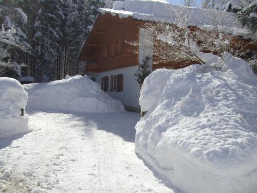 Ferienwohnung am Römerweg Wald Inzell allemagne